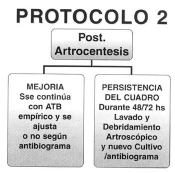 protocolo2
